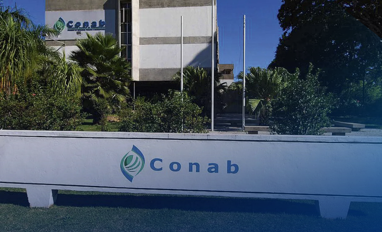 Conab publica retificação do edital com alterações em conteúdo e regras do concurso público