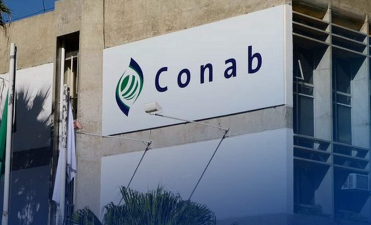 Concurso Conab 2025 tem inscrições prorrogadas; veja nova data