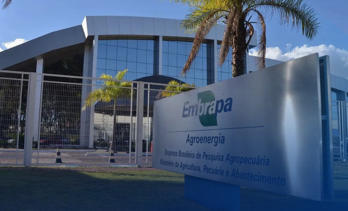Concurso Embrapa: Confira os detalhes atualizados da prova prática