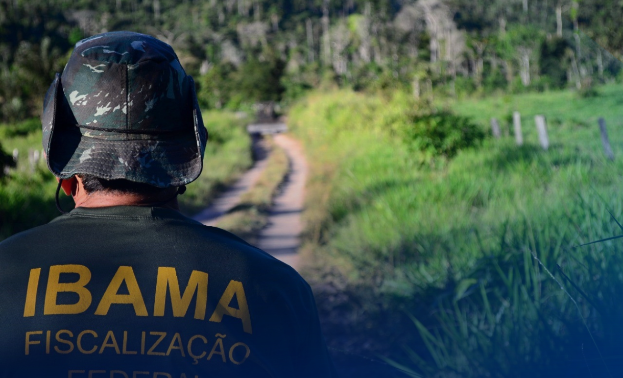 Ibama divulga resultados das provas do concurso: confira prazos e detalhes