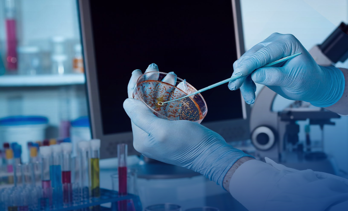 Microbiologia para Concursos: Saiba o que realmente cai nas provas