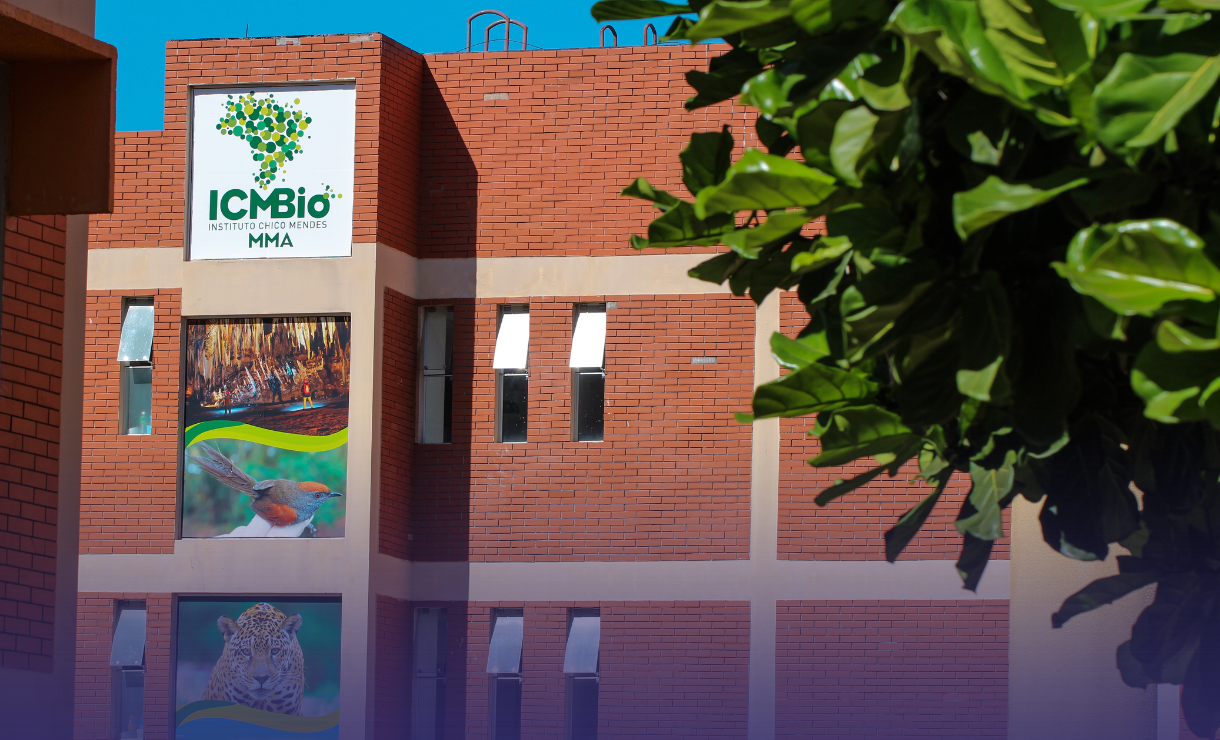 Concurso ICMBio: Resultado é homologado e convocação de aprovados podem acontecer