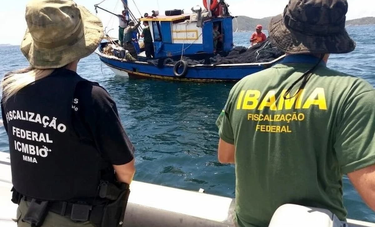 Concursos IBAMA e ICMBio: MGI autoriza 201 nomeações; saiba mais!